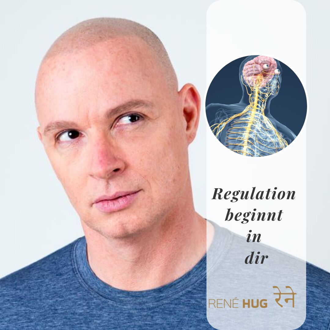 Vagusnerv-die direkte Verbingung von Kopf ins Bauchzentrum Vagusnerv abgebildet zusmmen mit René Hug